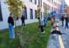 ГК «ЮгСтройИнвест» приняла участие в областном празднике «День древонасаждений» //Фото «ЮгСтройИнвест»