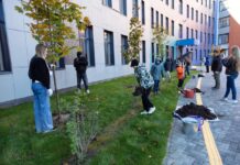 ГК «ЮгСтройИнвест» приняла участие в областном празднике «День древонасаждений» ГК «ЮгСтройИнвест» приняла участие в областном празднике «День древонасаждений» //Фото «ЮгСтройИнвест»