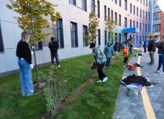 ГК «ЮгСтройИнвест» приняла участие в областном празднике «День древонасаждений» ГК «ЮгСтройИнвест» приняла участие в областном празднике «День древонасаждений» //Фото «ЮгСтройИнвест»