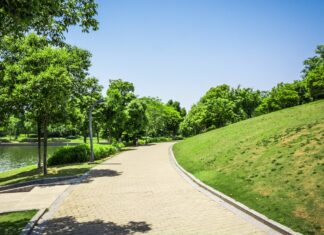 В Первомайском районе Ростове появится парк «Патриарший» парк парк // фото: freepik.com