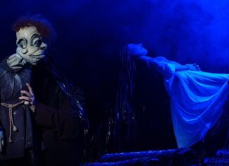 Ростовский театр кукол отмечает 90-летний юбилей фрагмент спектакля на сцене Ростовского театра кукол // фото: donland.ru