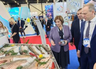 Ростовская область представила инвестпроекты на рыбопромышленном форуме стенд Ростовской области на рыбопромышленном форуме в Петербурге // фото: donland.ru