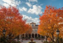 За название нового сквера в Кировском районе можно проголосовать сквер с кленами // фото: leonardo.ai