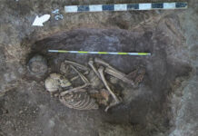 Застройщик Суворовского района инициировал археологические раскопки древних курганов