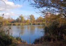 Куда сходить в Ростове на этих выходных