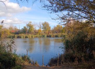 Куда сходить в Ростове на этих выходных