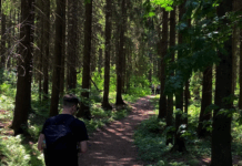 В Ростовской области приступили к весенней высадке леса