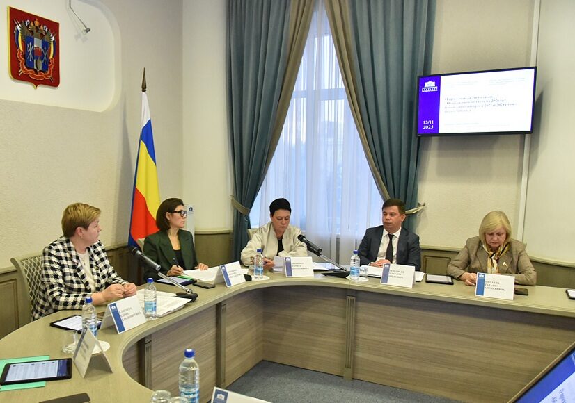 Заседании комитетов ЗС РО по социальной политике и по образованию\\ Фото с официального сайта ТФОМС Ростовской области