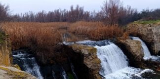 В Горненском заказнике открыли экотропу с аудиогидом от ростовских школьников экотропа «По Дону гуляют» // фото: Городской репортер