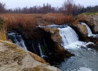 В Горненском заказнике открыли экотропу с аудиогидом от ростовских школьников экотропа «По Дону гуляют» // фото: Городской репортер