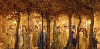 Куда сходить в Ростове на этих выходных: 12-14 декабря 2025