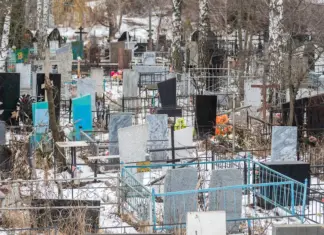 Более миллиарда рублей направят на завершение строительства кладбища «Ростовское»