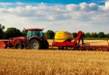 Вывозить зерно из карантинных зон запретили фирме из Ростовской области