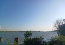 Контроль за безопасностью на водоемах в Ростовской области усилили