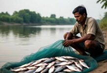 У браконьеров в Ростовской области изъяли около километра сетей