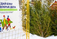 В Ростове-на-Дону будут принимать новогодние елки на переработку по 11 адресам Пункт приема старых новогодних елок на утилизацию в Москве //Фото пресс-служба Департамента природопользования и охраны окружающей среды города Москвы или Мосприрода