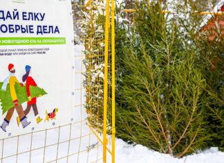 В Ростове-на-Дону будут принимать новогодние елки на переработку по 11 адресам Пункт приема старых новогодних елок на утилизацию в Москве //Фото пресс-служба Департамента природопользования и охраны окружающей среды города Москвы или Мосприрода