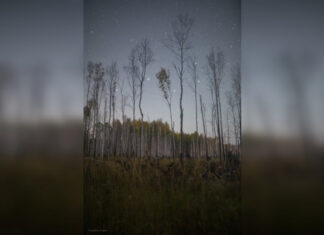 В конце января ростовчане смогут увидеть уникальный парад планет — «Небесный крест»