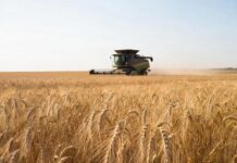 Сбербанк поддержал производителя сельхозтехники «НАИР» банковской гарантией на 30 млн рублей