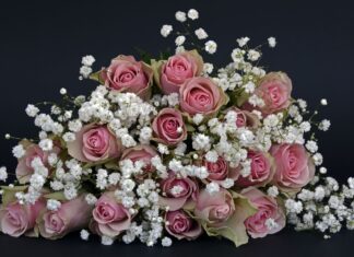 Количество цветочных магазинов в Донском регионе за три года увеличилось на 14%