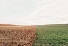 Сельскохозяйственные земли в Ростовской области используются не по назначению