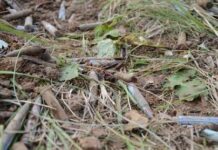 Под Ростовом нашли гильзу, которая сохранилась со времен Великой Отечественной войны