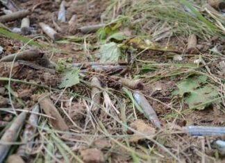 Под Ростовом нашли гильзу, которая сохранилась со времен Великой Отечественной войны