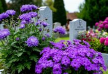 В Ростове поднимутся цены на ритуальные услуги