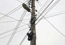С опор ЛЭП в Ростовской области сняли более 155 незаконных кабелей