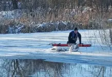 Лебедя, который не хотел бросать погибшую возлюбленную, спасли под Ростовом