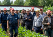 На ростовском агрокомбинате от полиции скрыли работу 15 иностранцев