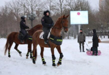 На улицы Ростова вышел конный патруль