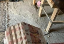 ОПГ фальшивомонетчиков будут судить в Ростов