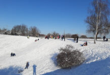 Александр Скрябин осудил катания на санках на территории Змиевской балки