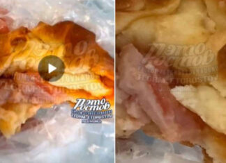 Личинки в булочке так и не нашли: власти опровергли заявление Мизулиной о «живой еде» в ростовской школе