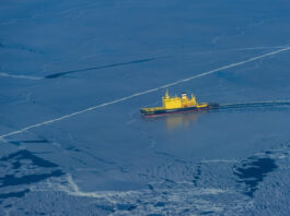 Через Азовское море ледоколы провели 44 судна с конца декабря