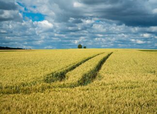 К весенне-полевым работам готовятся аграрии Ростовской области
