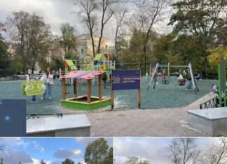 В парке имени Фрунзе в Ростове украли детскую площадку