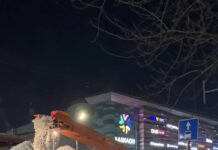 Более 250 снегоуборочных машин очищали Ростов в ночь на 4 февраля