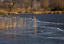 Противопаводковые учения пройдут в Ростовской области