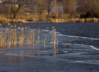 Донские спасатели переходят в режим повышенной готовности из-за паводков и пожаров