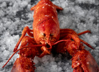 Донской рак как «Доширак»: бизнесмен предложил продавать раков быстрого приготовления