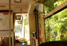 Проект по строительству скоростного трамвая остановили в Ростове