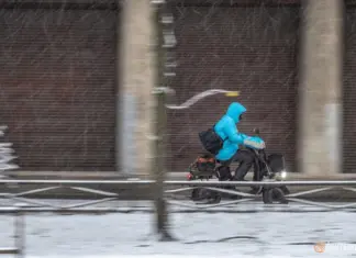 Власти Ростовской области запретят мигрантам работать курьерами и продавцами