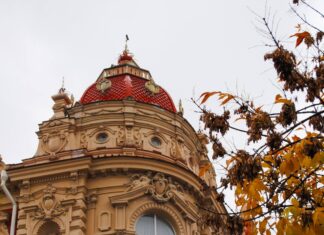 В Ростове назначен и.о. главы управления торговли вместо попавшего под следствие Алексея Зайдлина