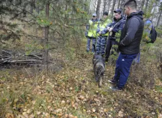 Под Ростовом таксист убил продавца, расплатившись за машину «билетами банка приколов»