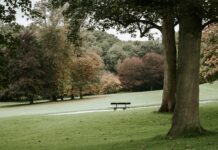 Частный парк «Мельник» в Ростове построят только в 2028 году