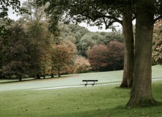 Частный парк «Мельник» в Ростове построят только в 2028 году