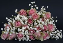 В начале марта жителей Донского региона будут ждать три дня отдыха