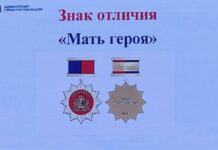 В Ростове для воспитавших детей-героев женщин учредили знак отличия «Мать героя» В Ростове для воспитавших детей-героев женщин учредили знак отличия «Мать героя» //Кадр из презентации заседания Ростовской-на-Дону городской Думы